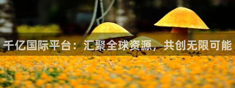 万向娱乐股份