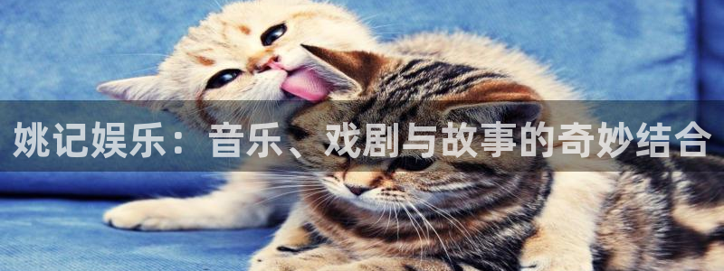 万向娱乐3平台登录注册：姚记娱乐：音乐、戏剧与故事的奇妙结合