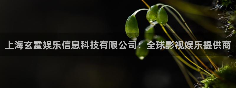 万向娱乐5：上海玄霆娱乐信息科技有限公司：全球影视娱乐提供商