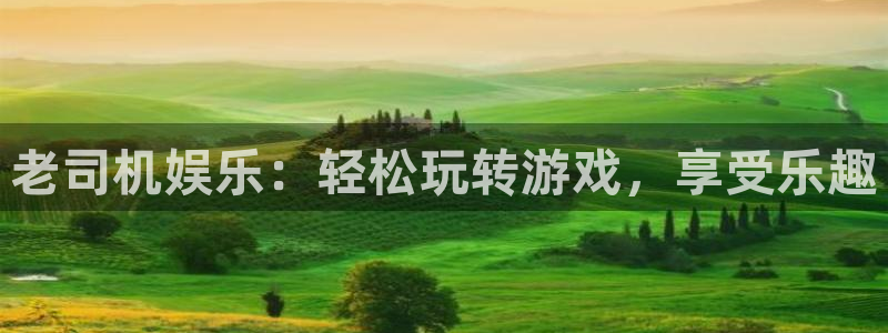 万向娱乐体育2官网入口：老司机娱乐：轻松玩转游戏，享受乐趣