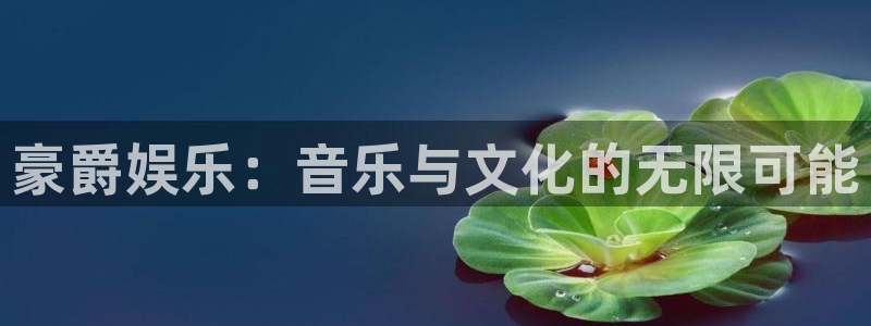万向娱乐体育注册登录入口：豪爵娱乐：音乐与文化的无限可能