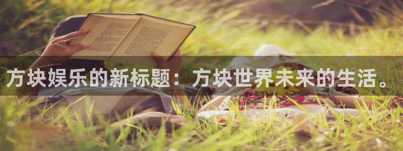 万向娱乐3：方块娱乐的新标题：方块世界未来的生活。