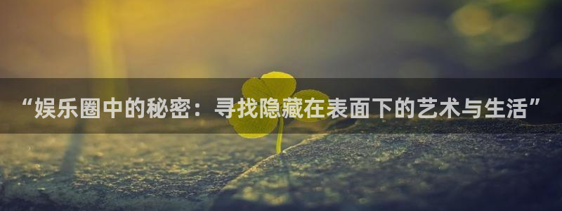 万向娱乐集团：“娱乐圈中的秘密：寻找隐藏在表面下的艺术与生活”