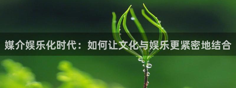 万向娱乐体育注册平台：媒介娱乐化时代：如何让文化与娱乐更紧密地结合