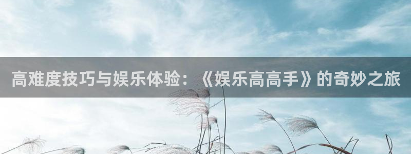 万向娱乐平台开户：高难度技巧与娱乐体验：《娱乐高高手》的奇妙之旅