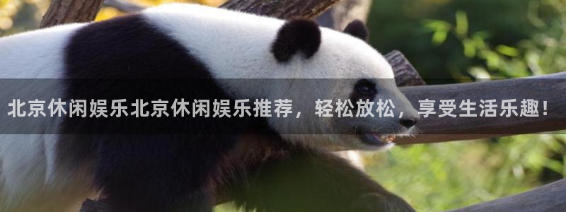 万向娱乐2平台登录：北京休闲娱乐北京休闲娱乐推荐，轻松放松，享受生活乐趣！