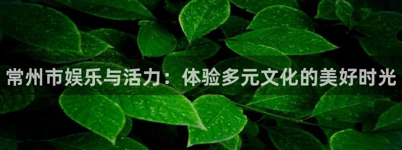 万向娱乐注册：常州市娱乐与活力：体验多元文化的美好时光