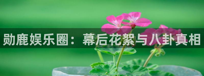 万向娱乐平台开户链接：勋鹿娱乐圈：幕后花絮与八卦真相