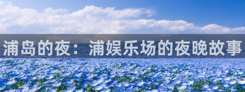 万向娱乐体育注册平台：浦岛的夜：浦娱乐场的夜晚故事