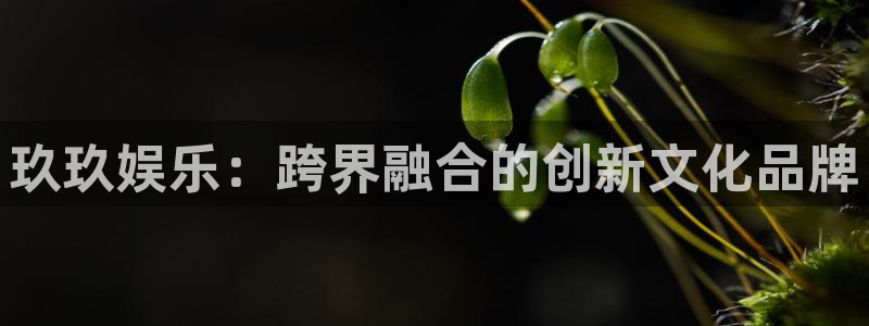 万向娱乐体育平台开号链接：玖玖娱乐：跨界融合的创新文化品牌