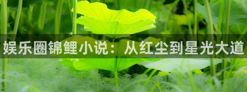 万向娱乐体育代理：娱乐圈锦鲤小说：从红尘到星光大道