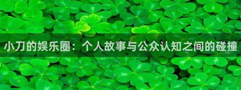 万向娱乐体育平台总代理：小刀的娱乐圈：个人故事与公众认知之间的碰撞