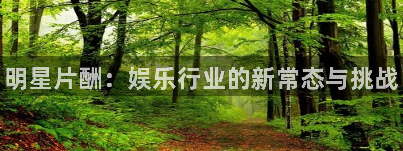 万向娱乐4开户：明星片酬：娱乐行业的新常态与挑战