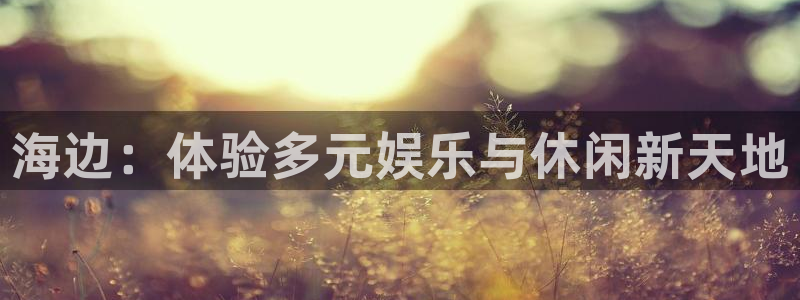 万向娱乐平台开户链接