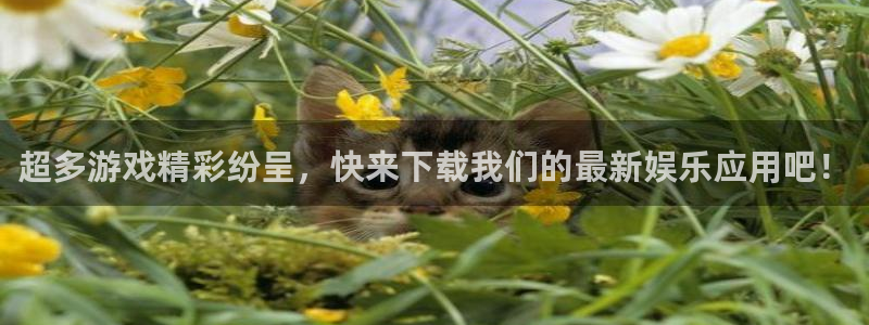 万向娱乐零能源集团：超多游戏精彩纷呈，快来下载我们的最新娱乐应用吧！