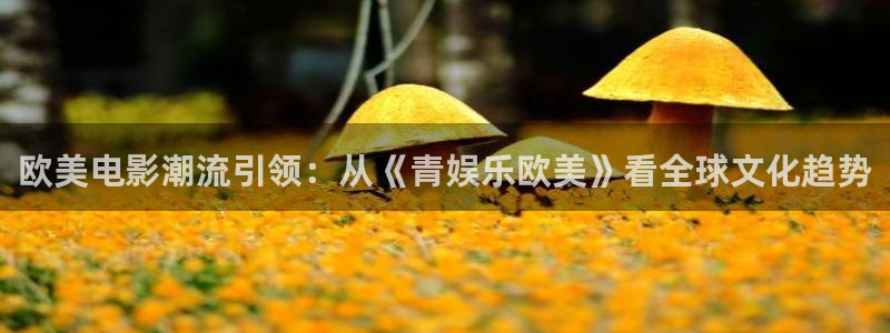 www.万向娱乐体育.com：欧美电影潮流引领：从《青娱乐欧美》看全球文化趋势