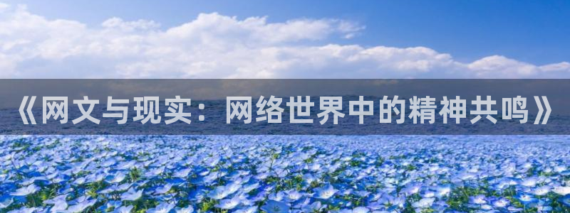 万向娱乐5招商：《网文与现实：网络世界中的精神共鸣》