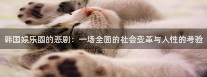 万向娱乐体育娱乐注册链接：韩国娱乐圈的悲剧：一场全面的社会变革与人性的考验