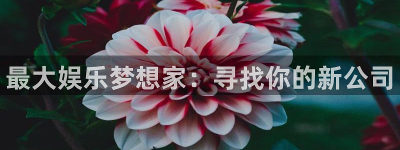 万向娱乐集团总部：最大娱乐梦想家：寻找你的新公司