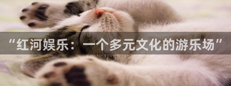 万向娱乐体育网页版入口：“红河娱乐：一个多元文化的游乐场”