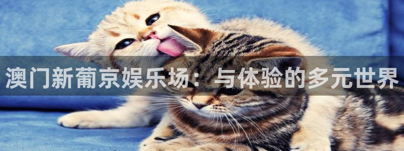 万向娱乐凯捷注册：澳门新葡京娱乐场：与体验的多元世界