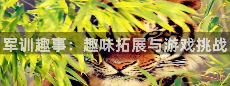 万向娱乐体育代理申请流程