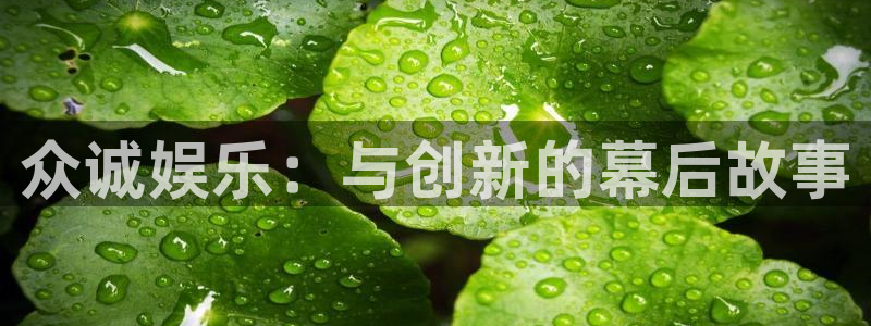 万向娱乐体育和杏耀是哪个公司的：众诚娱乐：与创新的幕后故事